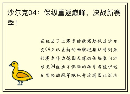 沙尔克04:保级重返巅峰,决战新赛季!