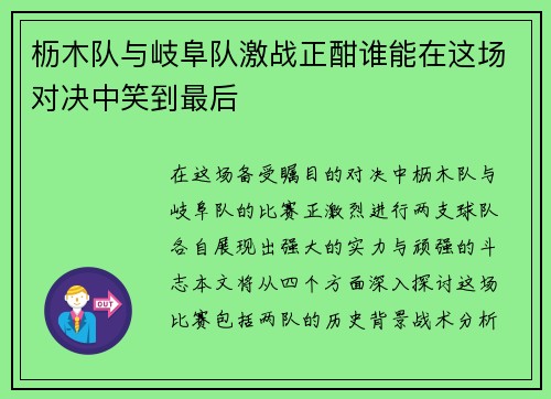 枥木队与岐阜队激战正酣谁能在这场对决中笑到最后